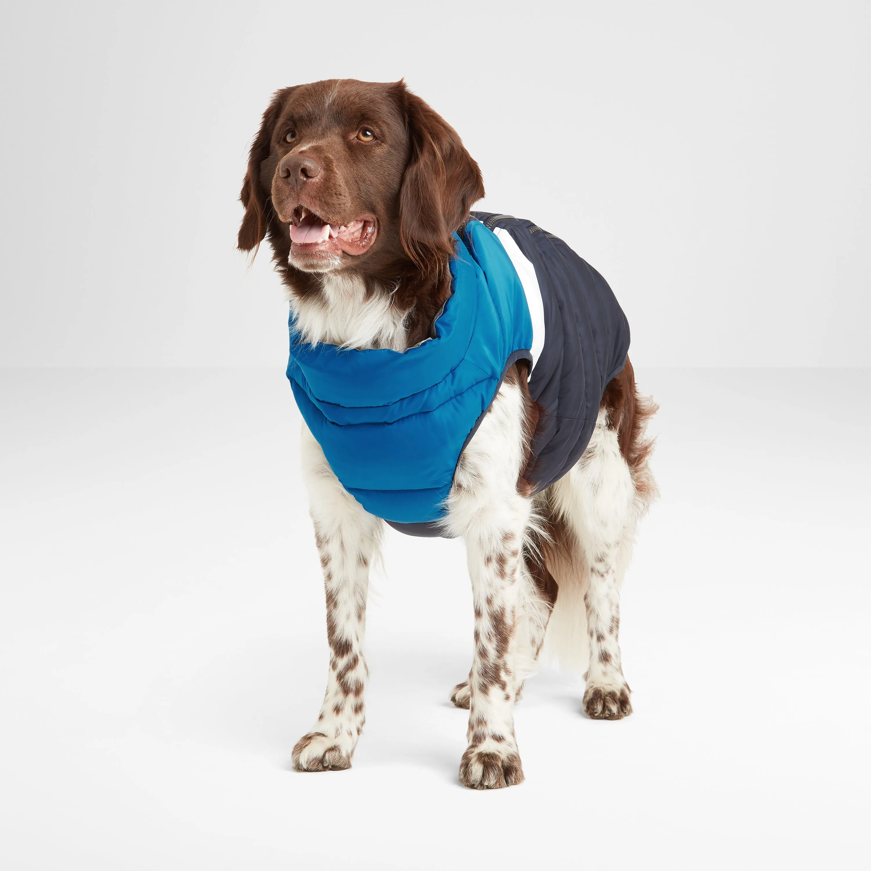 Fetch Padded Dog Coat L - Peacock Blue/Dark Indigo/Optic White