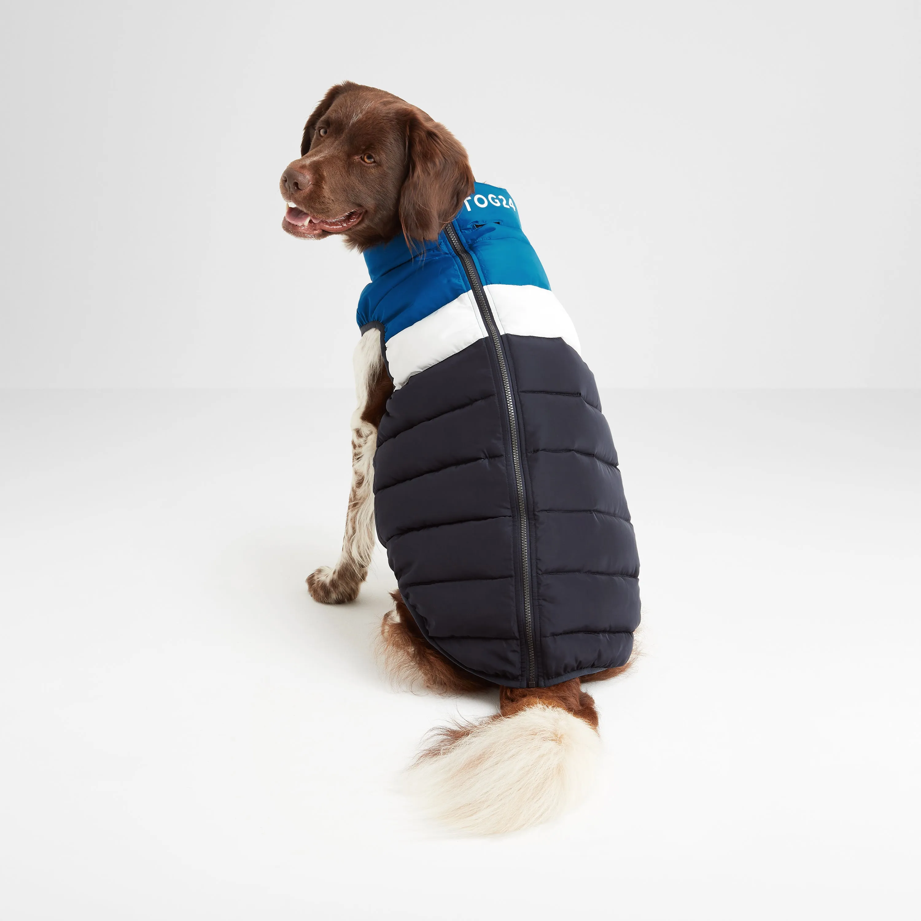 Fetch Padded Dog Coat L - Peacock Blue/Dark Indigo/Optic White