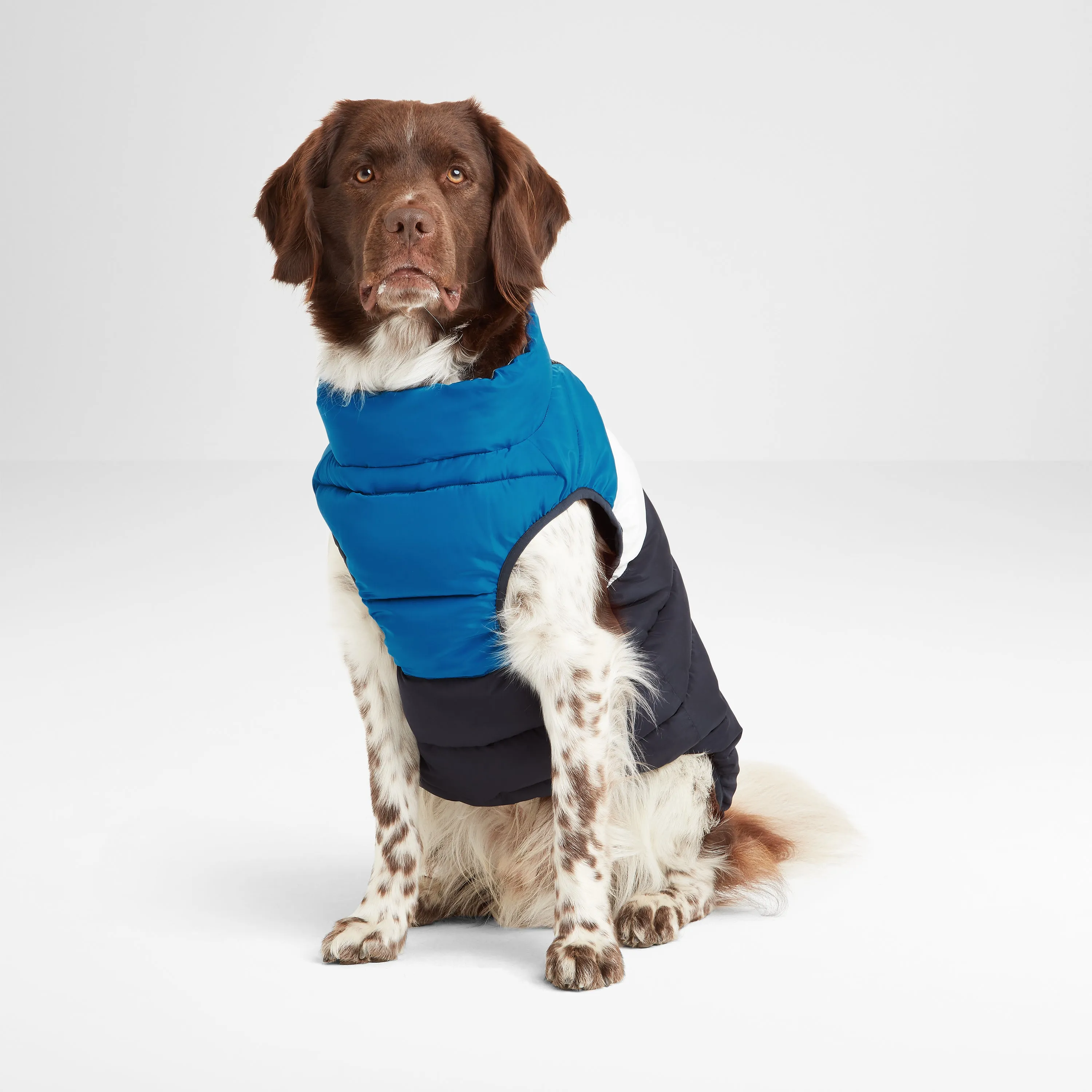 Fetch Padded Dog Coat L - Peacock Blue/Dark Indigo/Optic White