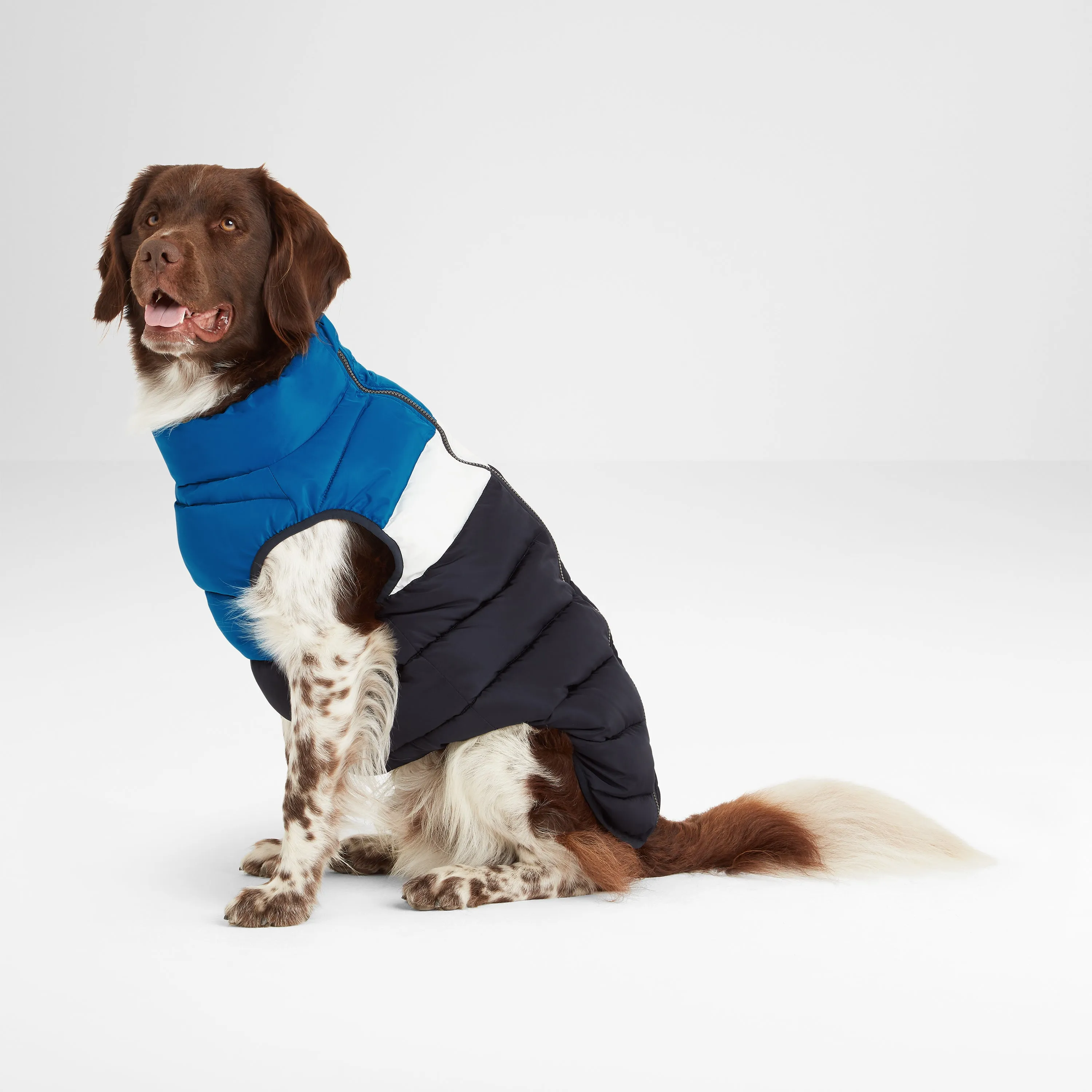 Fetch Padded Dog Coat L - Peacock Blue/Dark Indigo/Optic White