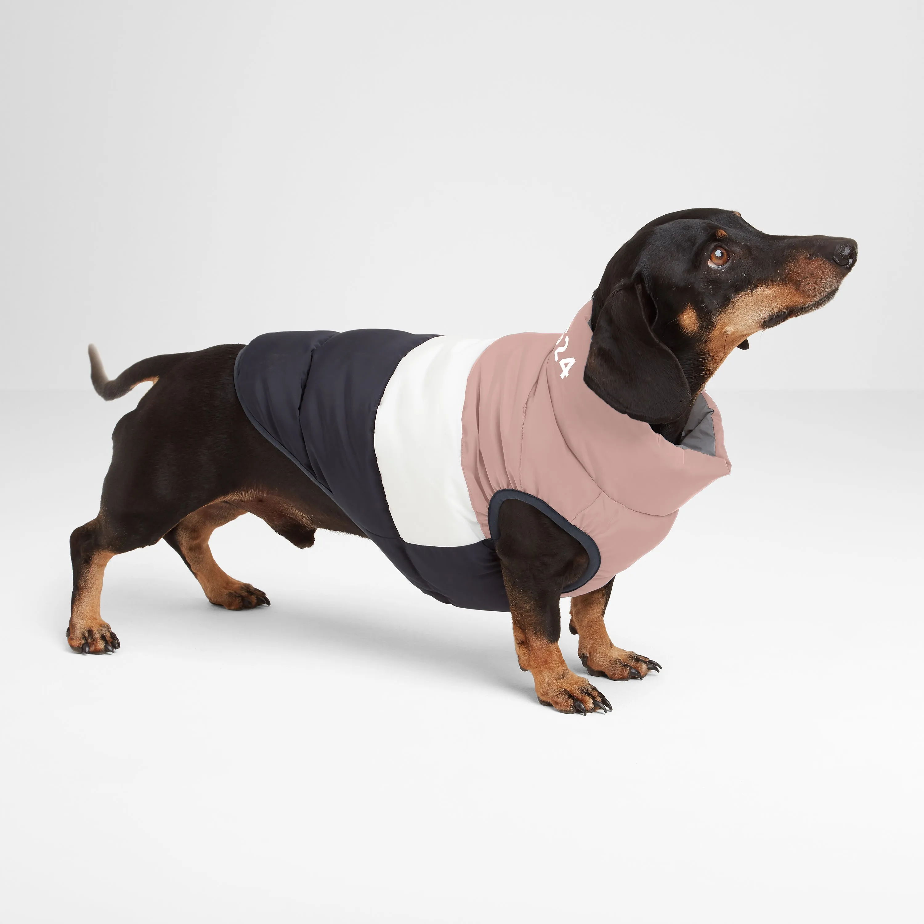 Fetch Padded Dog Coat S - Faded Pink/Ice Grey/Washed Blue