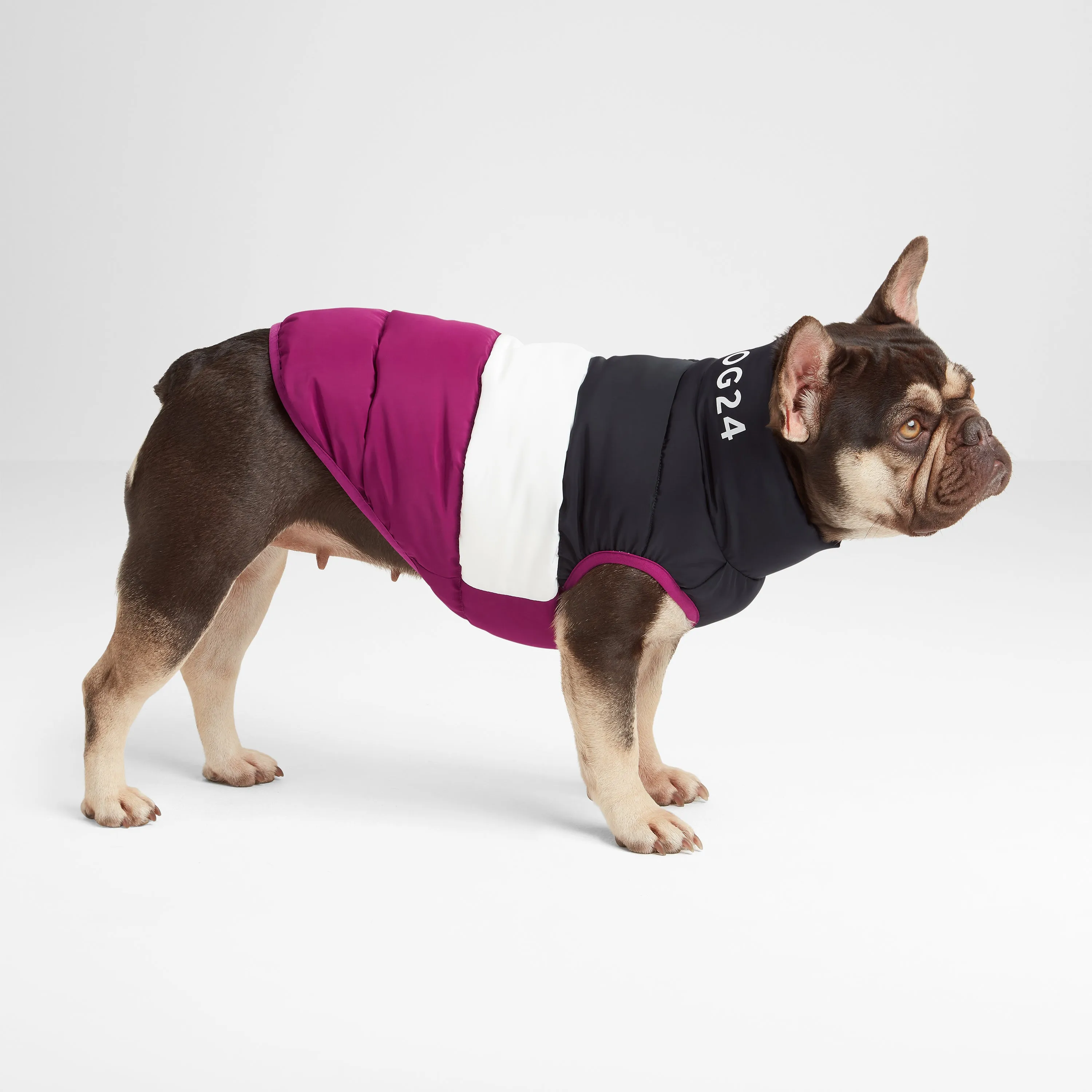 Fetch Padded Dog Coat XS - Purple Berry/Dark Indigo/Optic White