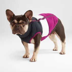 Fetch Padded Dog Coat XS - Purple Berry/Dark Indigo/Optic White