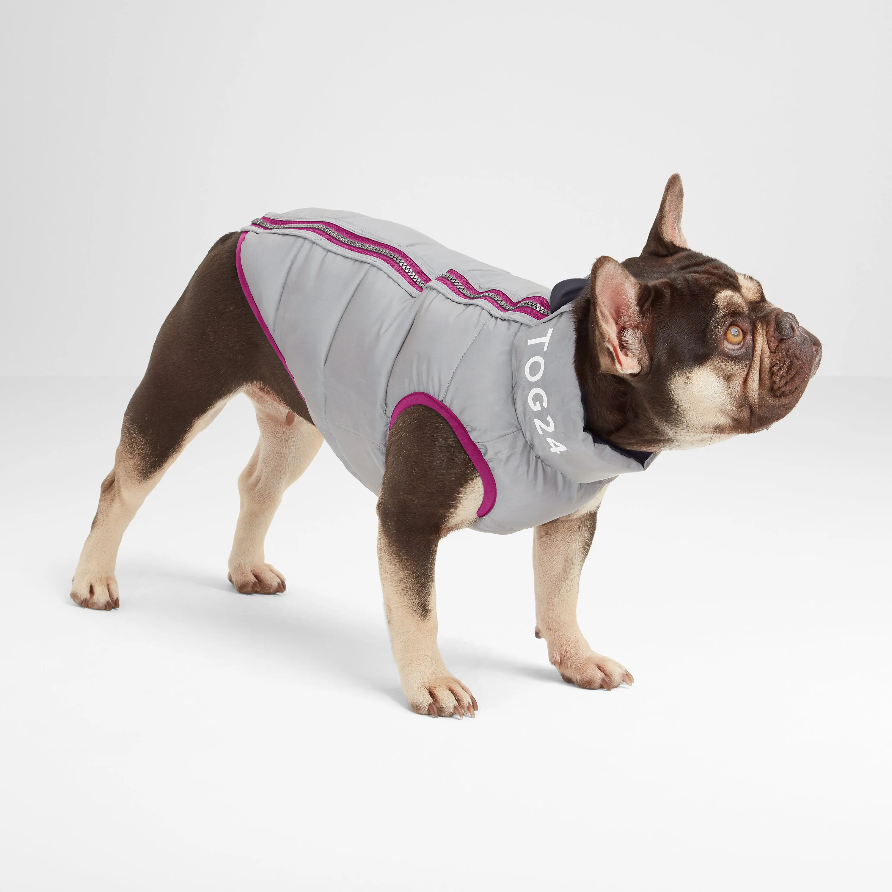 Fetch Padded Dog Coat XS - Purple Berry/Dark Indigo/Optic White