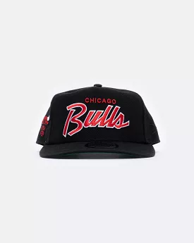 New era golfer nba script bulls